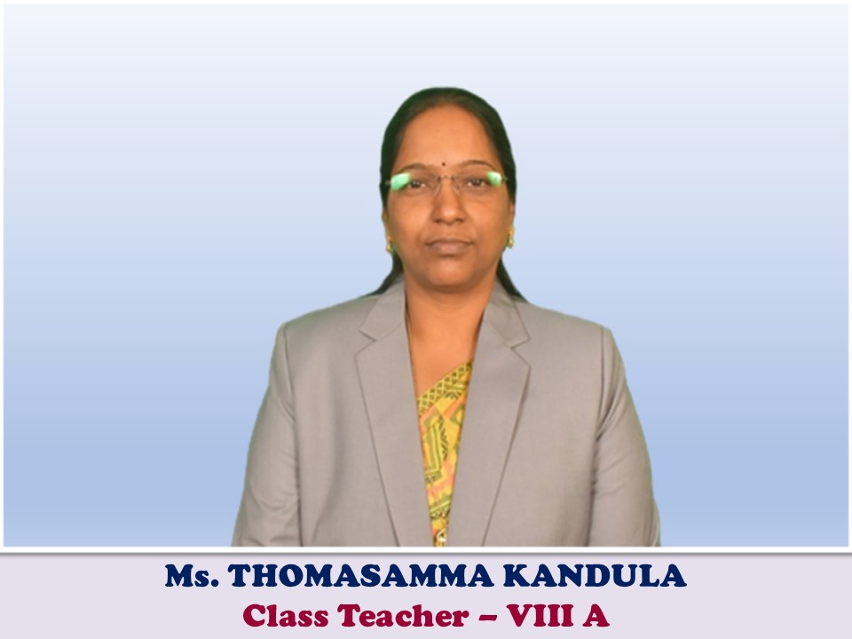 Teacher 